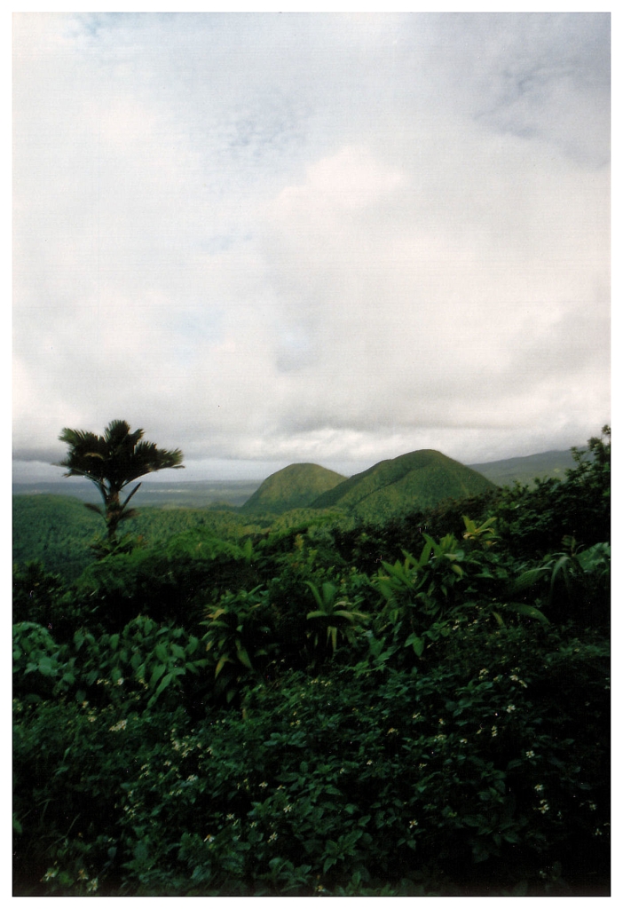 06 - Jardin De Balata (4).jpg